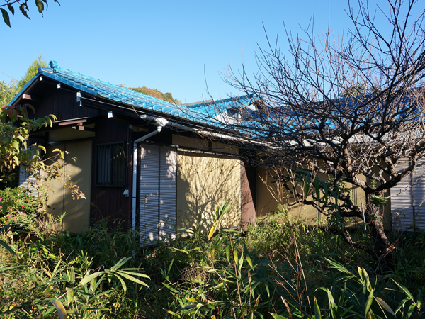 青い瓦屋根がシブ可愛い平屋。鎌倉の雰囲気に合っている佇まいにキュン！