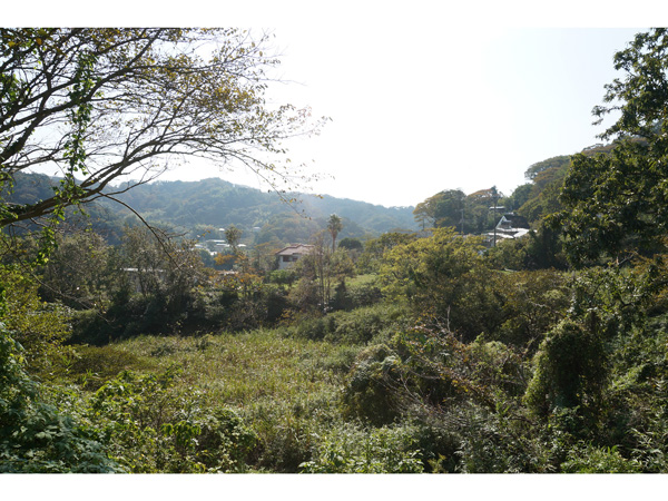 その名も「The Skeleton House」絶景・葉山W邸をUPしました！